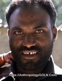 দ্রাবিড় [ Drabir ]