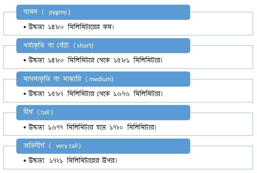 দেহের দীর্ঘতা অনুযায়ী মানুষকে পাঁচ শ্রেণীতে বিভক্ত করা হয় - ১. বামন ( pygmy ) - উচ্চতা ১৪৮০ মিলিমিটারের কম। ২. খর্বাকৃতি বা বেঁটে (short) – উচ্চতা ১৪৮০ মিলিমিটার থেকে ১৫৮১ মিলিমিটার। ৩. ম্যধমাকৃতি বা মাঝারি (medium) – উচ্চতা ১৫৮২ মিলিমিটার থেকে ১৬৭৬ মিলিমিটার। ৪. দীর্ঘ (tall ) — ১৬৭৭ মিলিমিটার হতে ১৭২০ মিলিমিটার। অতিদীর্ঘ ( very tall ) – ১৭২১ মিলিমিটারের উপর।