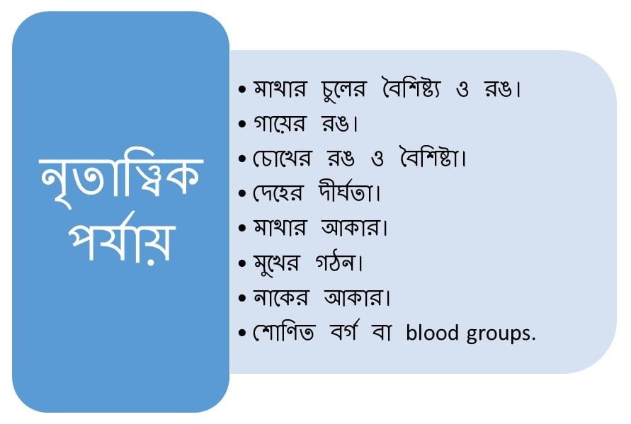 নৃতাত্ত্বিক পর্যায়