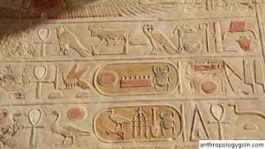 ভাষাতত্ত্ব-নৃবিজ্ঞান