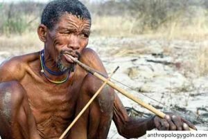  সামাজিক/সাংসকৃতিক নৃবিজ্ঞান