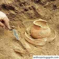 নৃবিজ্ঞানের উদ্ভব ও বিকাশ