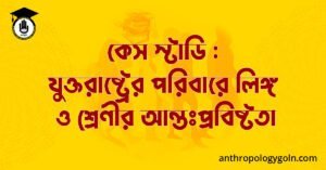 কেস স্টাডি : যুক্তরাষ্ট্রের পরিবারে লিঙ্গ ও শ্রেণীর আন্তঃপ্রবিষ্টতা