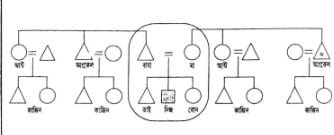 জাতি পদাবলীর ব্যবস্থার ধরন 