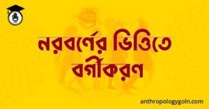 নরবর্ণের ভিত্তিতে বর্গীকরণ