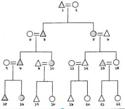 বংশ ধারা