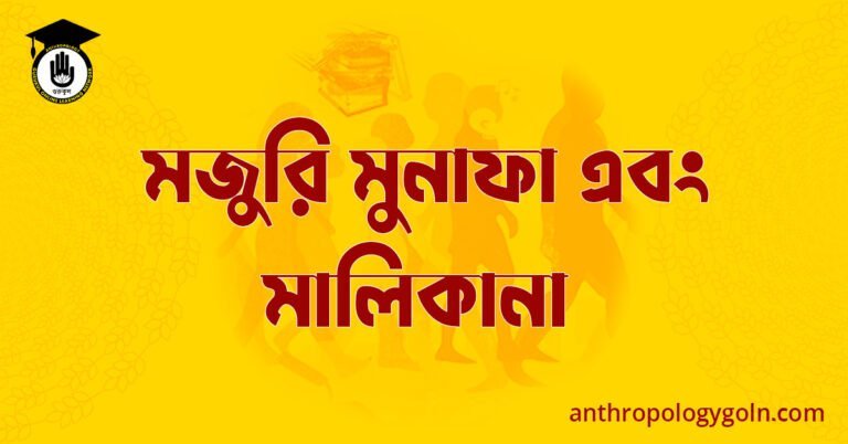 মজুরি মুনাফা এবং মালিকানা