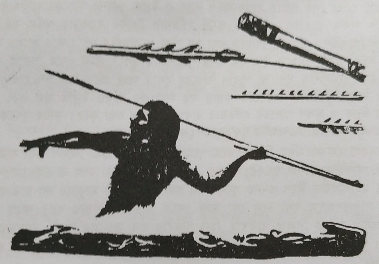 মানুষের বিবর্তন