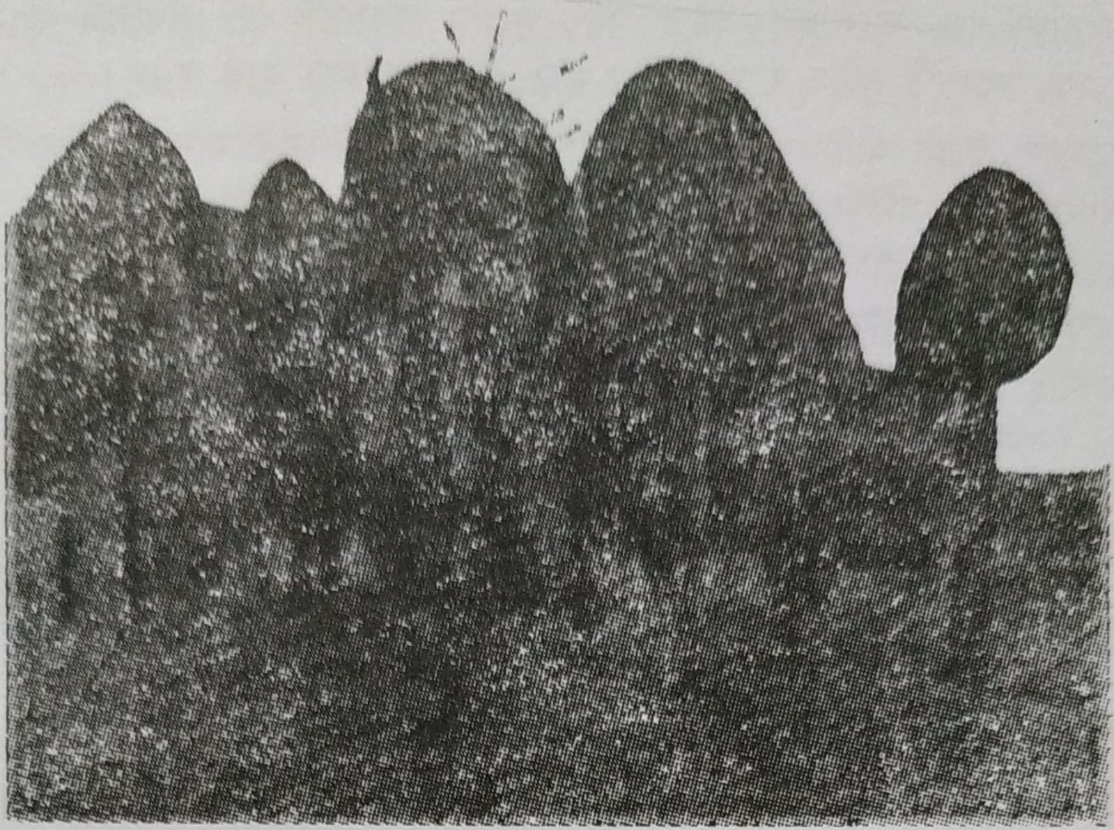 নতুন পাথর যুগের সংস্কৃতি