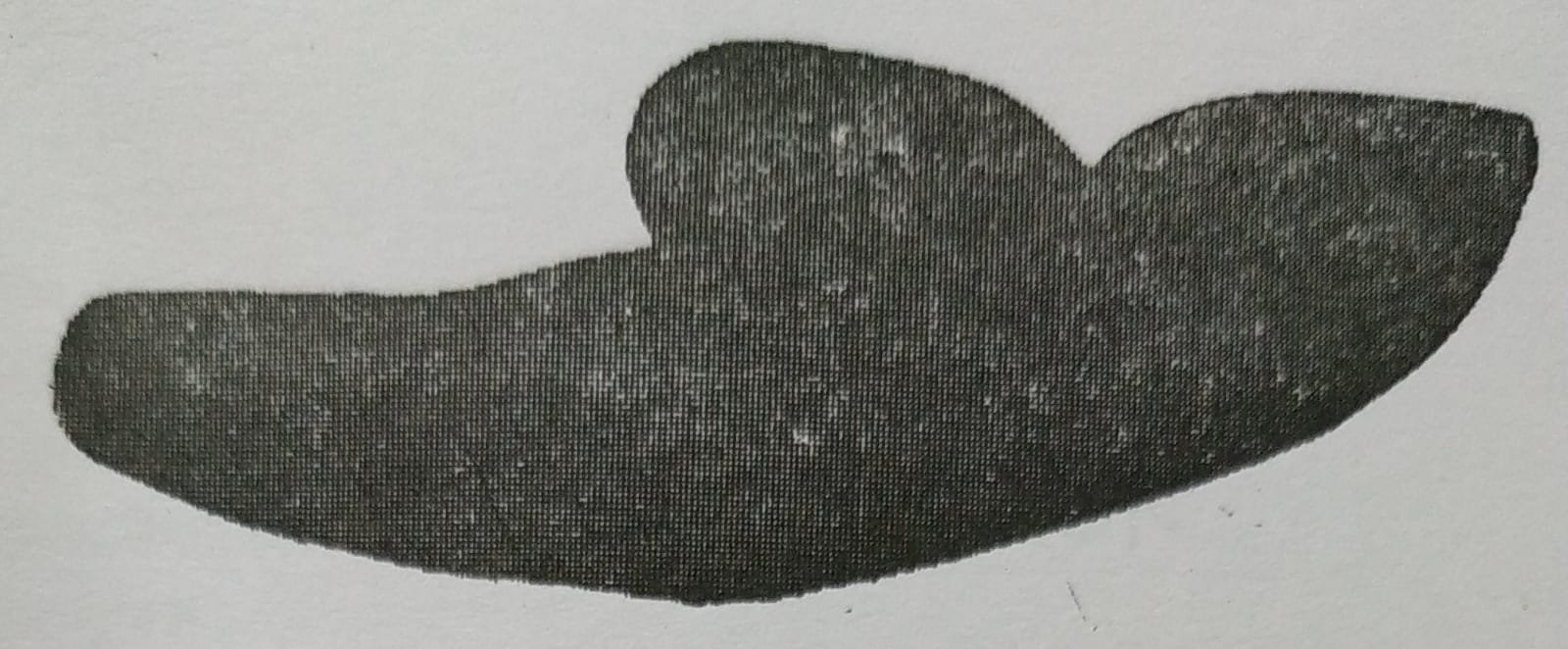 নবোপলীয় সমাজের পৃথিবীব্যাপী বিস্তার