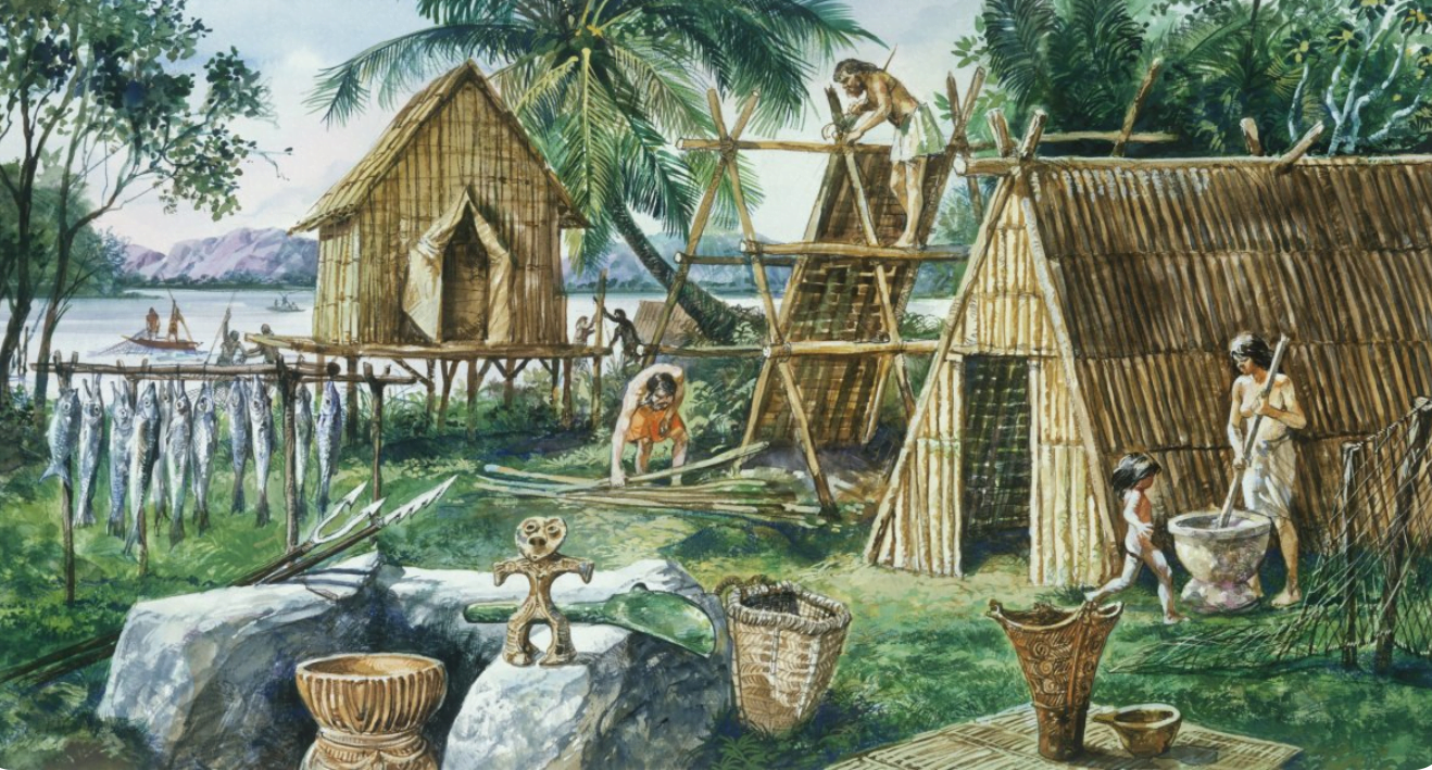 মানুষের বিবর্তন