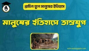 মানুষের ইতিহাসে তাম্রযুগ