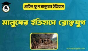 মানুষের ইতিহাসে ব্রোঞ্ছযুগ
